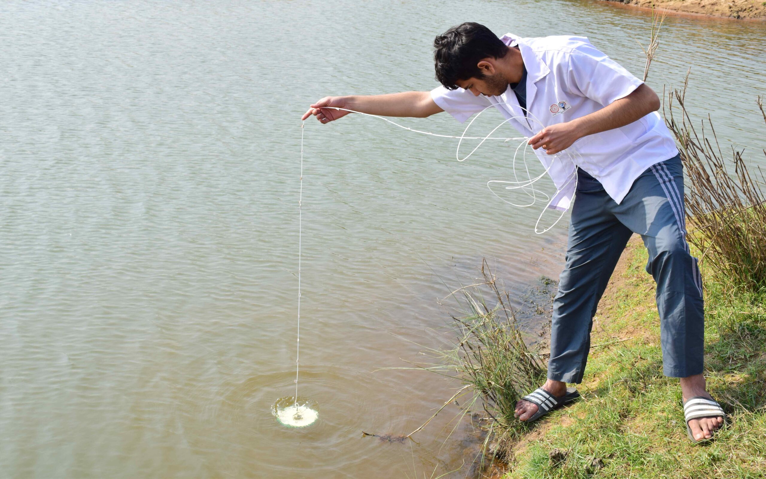 Water Testing by innovative prototype designed here