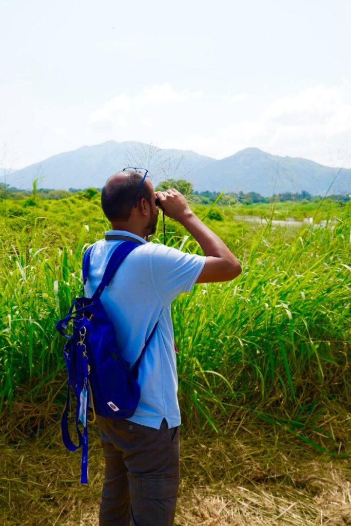 Birdwatching at Mai Po Nature Reserve