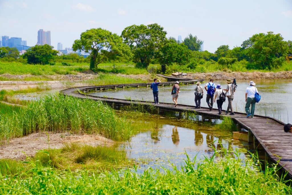 PBC participants on the boardwalk at Mai Po Nature Reserve